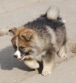 /album/gallery3/dsc-0707-jpg3/